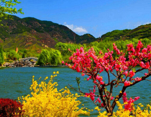 Best Seasons to Visit Kashmir