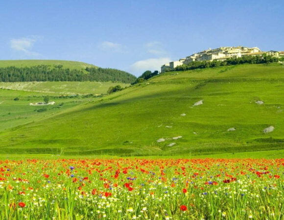 Kashmir Marvellous Tour 7 nights/8 days