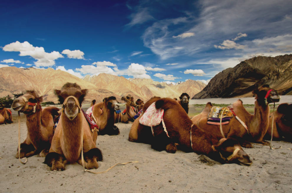 Ladakh