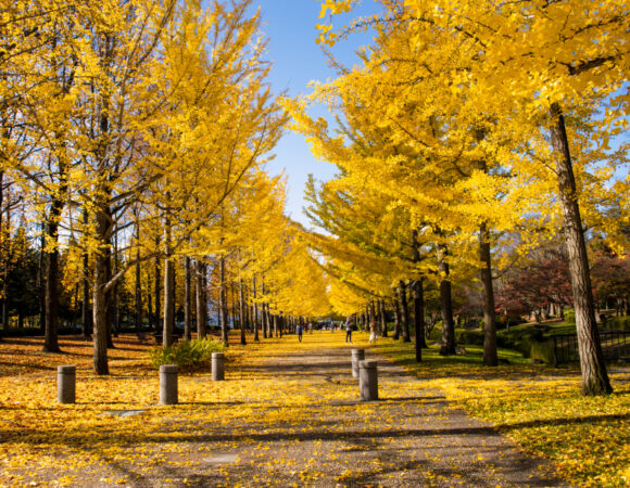Kashmir Weather in September