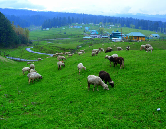 Best Time To Visit Aru Valley