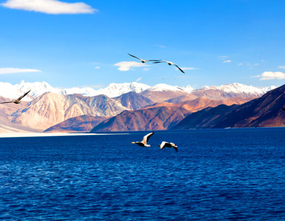 Kashmir Weather in February