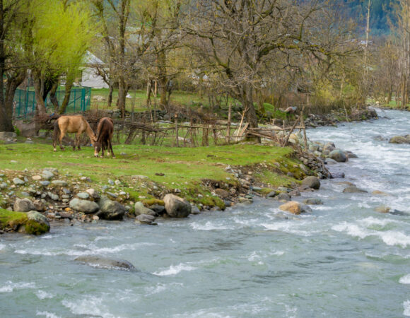 How to Plan Kashmir Tour in August