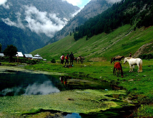 How to Plan Kashmir Tour in July