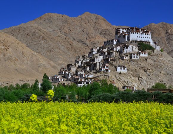 How to Plan a Trip to Leh Ladakh in July