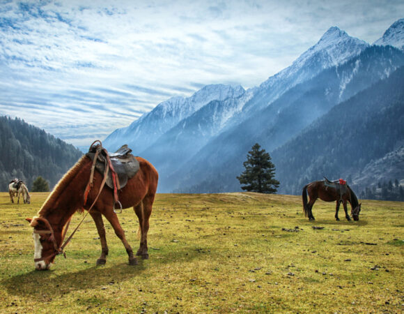 Detailed Guide to Visit Pahalgam in February – Places to Visit and Things to Do in