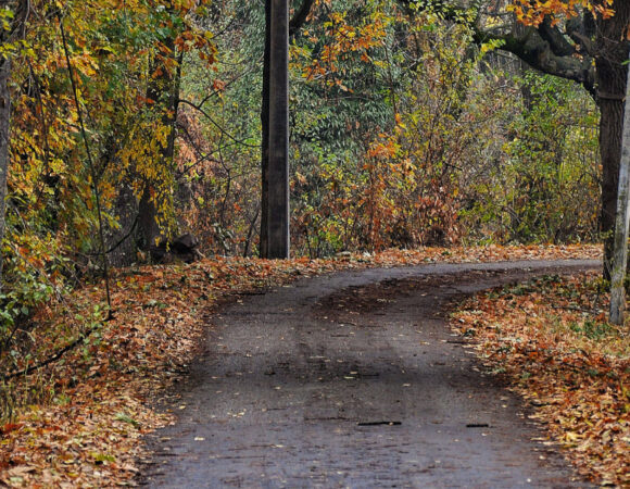 Srinagar in November – Places To Visit And Things To Do