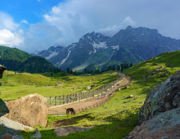 Sonamarg in August – Places to Visit and Things to Do