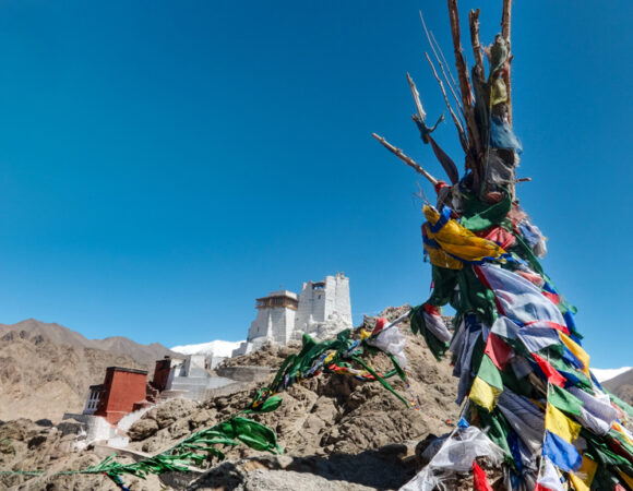 Savour these yummy local delicacies on your next trip to Ladakh