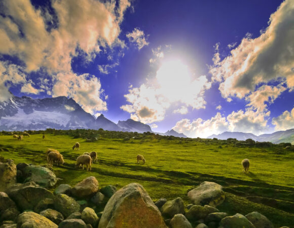 Sonamarg in November – Places to Visit and Things to Do