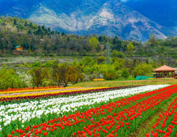 Srinagar In April – Places To Visit And Things To Do
