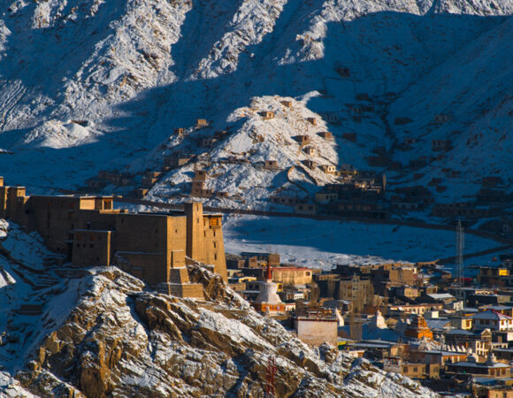Vegetarian Restaurants in Leh Ladakh Food Guide