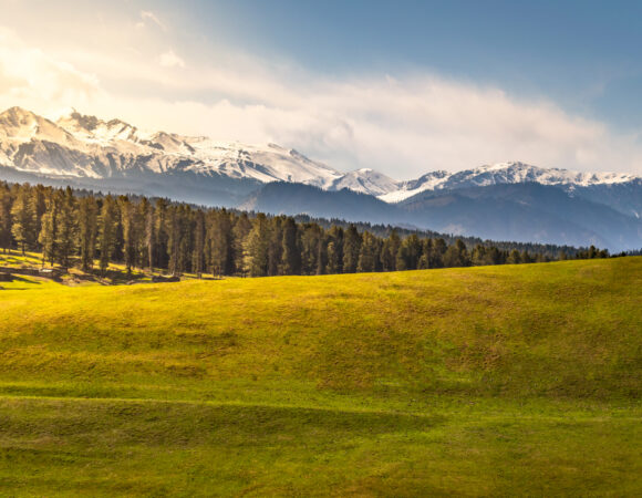 Experience Surreal Beauty – Kashmir in July