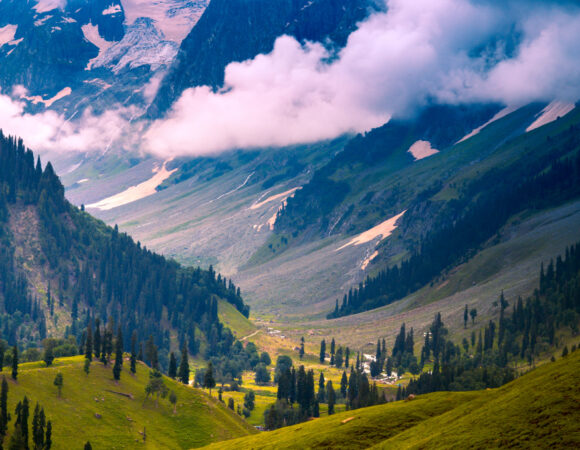 Witness Breathtaking Beauty – Kashmir in August