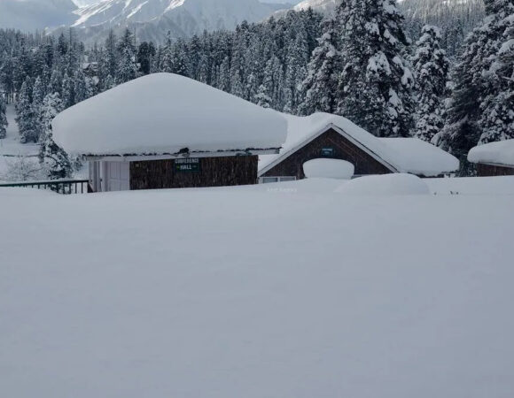 Winter Wonderland – Kashmir in December